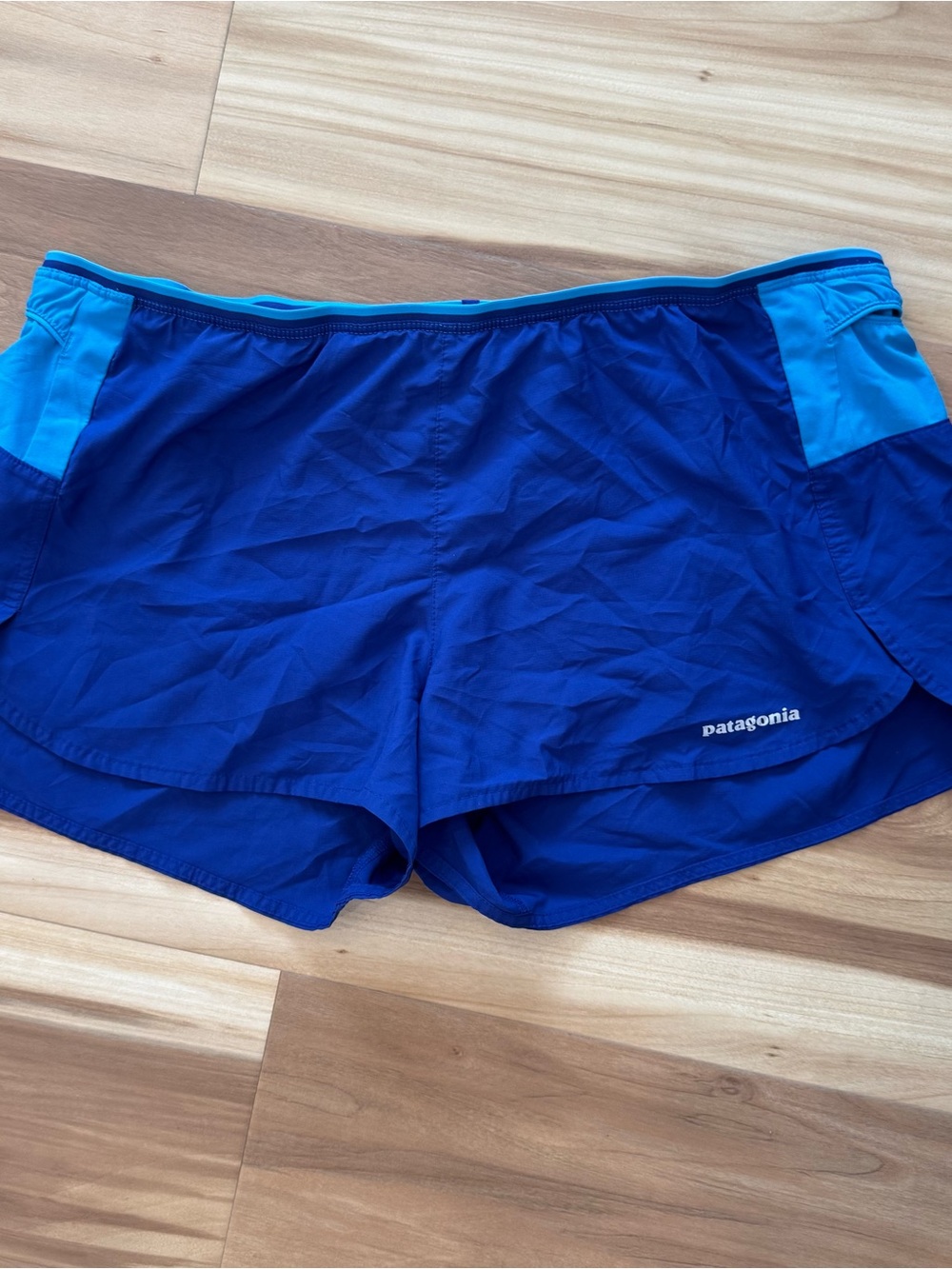 Patagonia Women’s Royal Blue and Aqua Athletic Shorts
